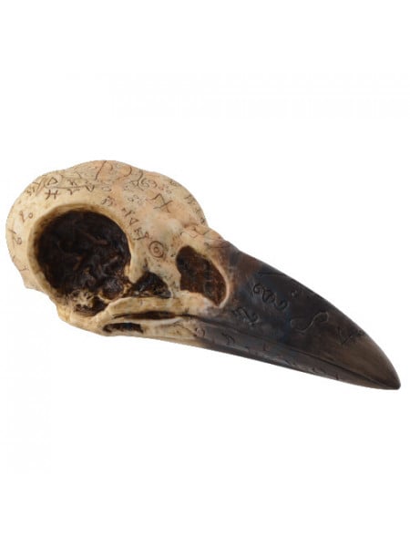 Statueta Craniul Corbului 16 cm