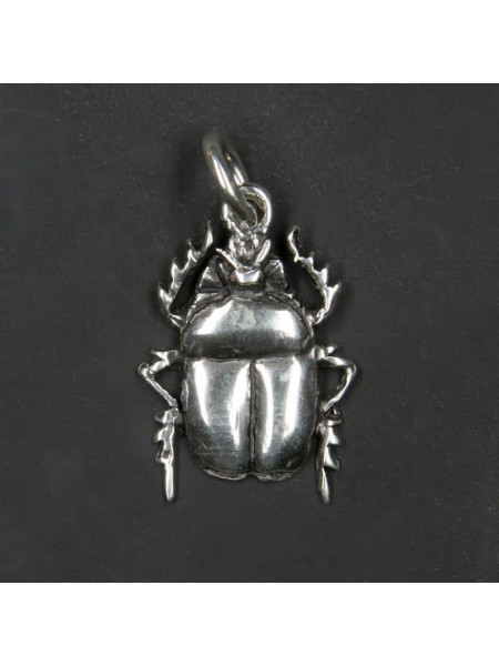 Pandantiv argint Scarabeu 3cm