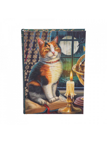 Agenda / Jurnal cu coperti cartonate pisicuta Aventura asteapta - Lisa Parker, 17 cm