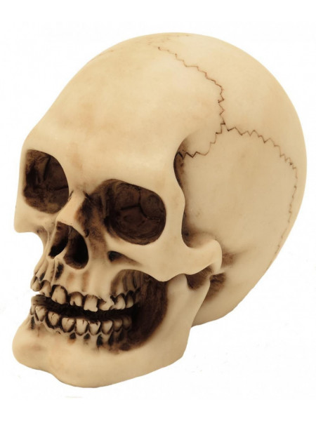 Statueta Craniu 8cm