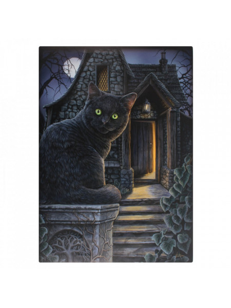 Tablou canvas pisica Casa Vrajitoarei 19x25cm - Lisa Parker