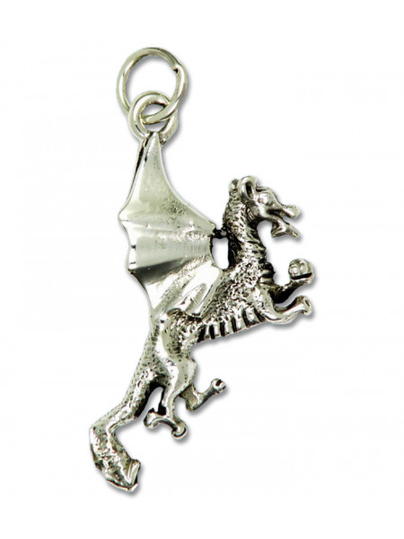 Pandantiv amuleta din argint pentru atingerea obiectivelor Rob Ray Simboluri Mistice - Dragonul Pierdut