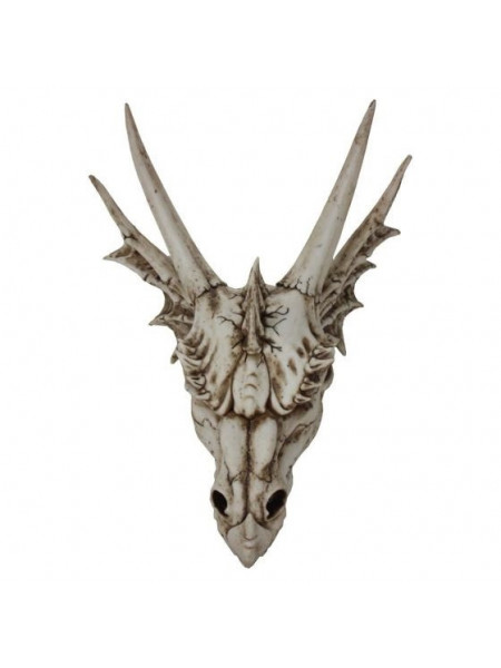 Statueta Craniu de dragon 32 cm