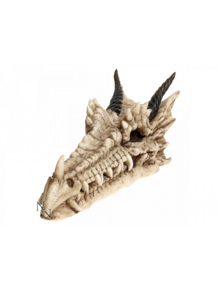 Suport betisoare tamaie craniu dragon Draco 24 cm - Img 1