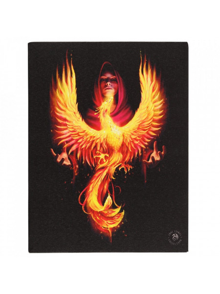 Tablou canvas zana si pasare, Inaltarea Phoenixului 19x25cm - Anne Stokes