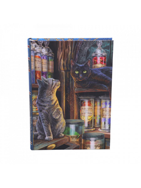 Agenda / Jurnal cu coperti cartonate pisicuta Magical Emporium - Lisa Parker, 17 cm