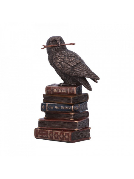 Statueta bufnita Spellcraft 14cm