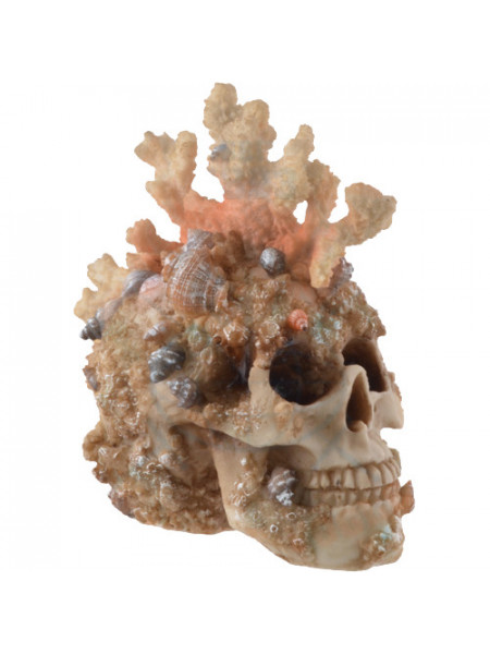 Statueta craniu Coral 18cm