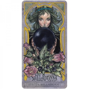 Carti Oracol Lady Stirling's Wicked Garden – gradina plantelor misterioase, set deluxe cu 32 carti - Img 2