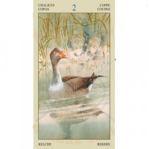Carti tarot Indianer - Laura Tuan - Img 3
