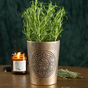 Ghiveci teracota Green Witch - Garden Witch 16.5 cm