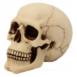 Statueta Craniu 18cm - Img 1