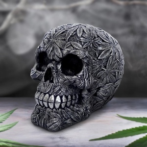 Statueta craniu High Life 15.5 cm - Img 8