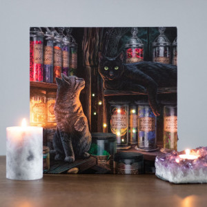 Tablou canvas cu led Magical Emporium - Lisa Parker, 30x30cm - Img 5