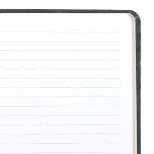 Agenda / Jurnal cu coperti cartonate Fawn and Friends - Vulpe - Img 2