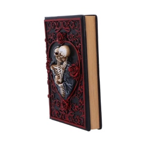 Agenda / Jurnal cu coperti din rasina Lovers Grimoire – colectie gothic fantasy, 19 cm - Img 3