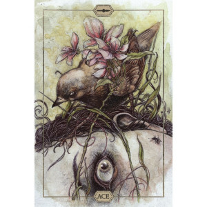 Carti Hush Tarot, Jeremy Hush, US Games Systems - Img 2