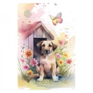 Carti Lenormand Summer Serenade - Irene Captijn - Img 3
