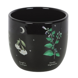 Ghiveci ceramica Plante Otravitoare - Img 2