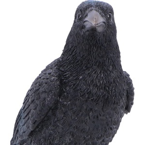 Statueta Corb pe Craniu Nevermore Vigil – decor gotic si fantasy, 19.5 cm - Img 5