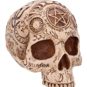 Statueta Craniu Apothecary – decor gotic si decor fantasy, 14 cm - Img 5