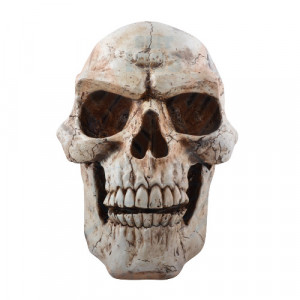 Statueta Craniu Uman 47cm - Img 1