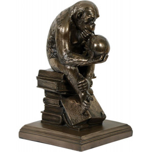 Statueta rasina si bronz Maimuta - Studiul Teoriei Evolutiei