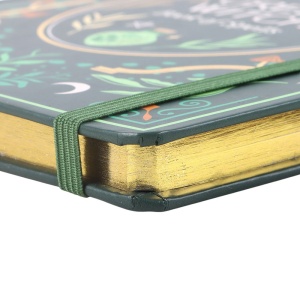 Agenda / Jurnal cu coperti cartonate Green Witch - Img 5