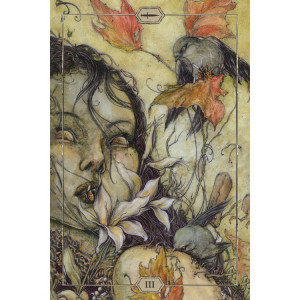 Carti Hush Tarot, Jeremy Hush, US Games Systems - Img 3
