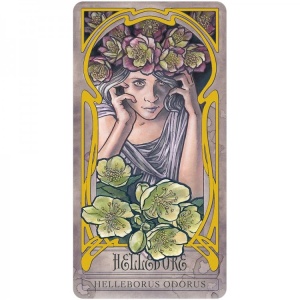 Carti Oracol Lady Stirling's Wicked Garden – gradina plantelor misterioase, set deluxe cu 32 carti - Img 6