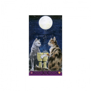 Carti tarot Pagan Cat - Img 4