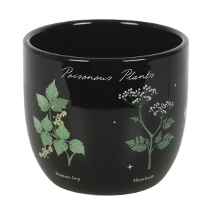 Ghiveci ceramica Plante Otravitoare