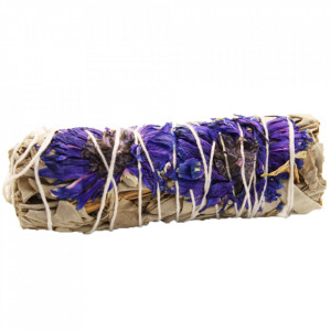 Manunchi de Salvie Alba pentru fumigatii - Purple Daze 10cm - Img 2
