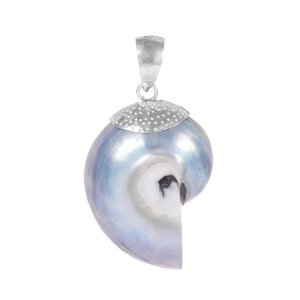 Pandantiv Nautilus argintiu perlat, argint cu cochilie naturala – evolutie si armonie, 3.2 cm