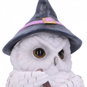 Statueta bufnita Owl Potion 17.5cm - Img 4