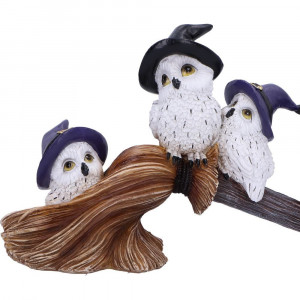 Statueta bufnite Feathered Broomstick 26 cm - Img 5