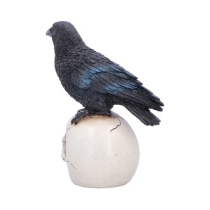 Statueta Corb pe Craniu Nevermore Vigil – decor gotic si fantasy, 19.5 cm - Img 2