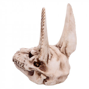Statueta Craniu Anubis 17cm - Img 3
