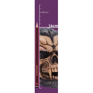Statueta craniu Hall of Horrors: The Beast of the Moon – decor gotic si decor fantasy, 16 cm - Img 8