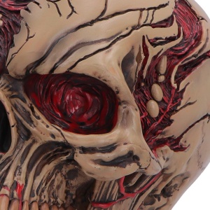 Statueta craniu Hall of Horrors: The Walker of Death – decor gotic si decor fantasy, 15.54 cm - Img 6