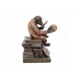 Statueta/ Cutie bijuterii Studiul Teoriei Evolutiei 17.5 cm - Img 3