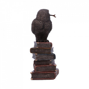 Statueta rasina si bronz, bufnita Spellcraft 14cm - Img 4