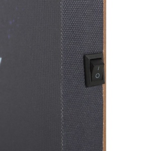 Tablou canvas cu led Midnight Moth 30x30 cm - Img 4