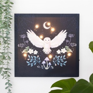 Tablou canvas cu led Night Owl 30x30 cm