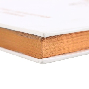 Set Agenda/Jurnal cu pix cu cristale de quartz transparent Luna Moth - Img 6