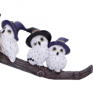 Statueta bufnite Feathered Broomstick 26 cm - Img 6