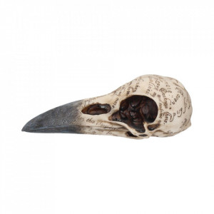 Statueta Craniul Corbului lui Poe 21 cm - Img 2