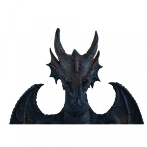 Suport hartie igienica Dragon 32 cm - Img 5