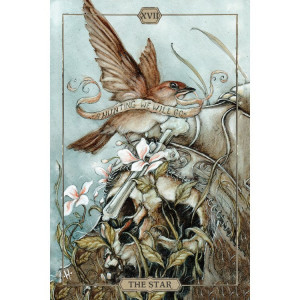 Carti Hush Tarot, Jeremy Hush, US Games Systems - Img 5