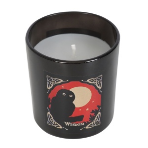 Descoperă puterea lumânării magice pentru ritualuri de intelepciune Lisa Parker - Way of the Witch! Această lumânare este realizată în stil ezoteric, din ceară de parafină de înaltă calitate.